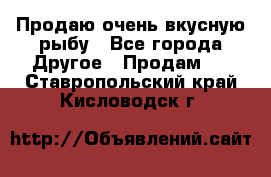 Продаю очень вкусную рыбу - Все города Другое » Продам   . Ставропольский край,Кисловодск г.